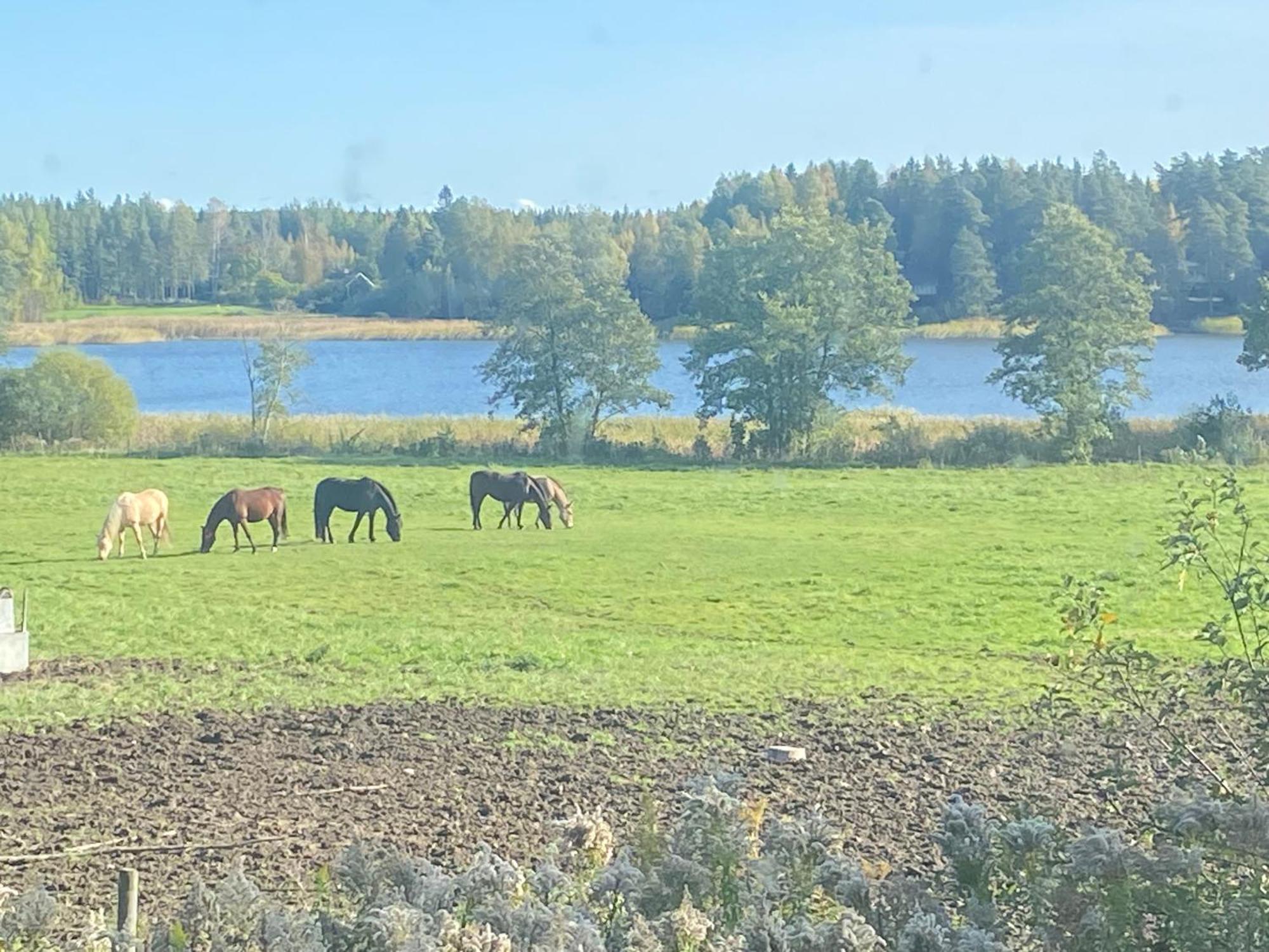 Ulvsby Ranch Western Camp Karlstad Kültér fotó