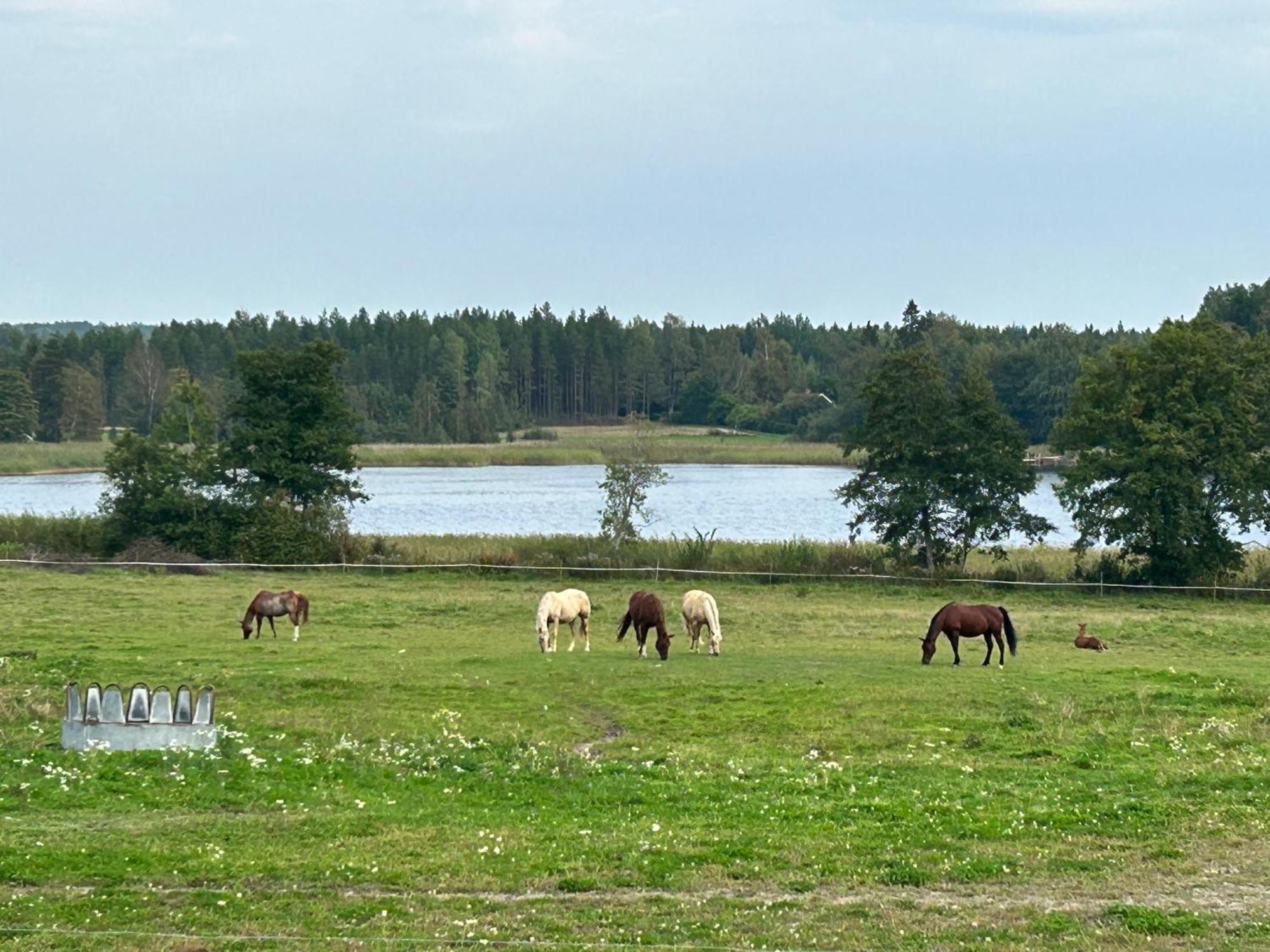 Ulvsby Ranch Western Camp Karlstad Kültér fotó