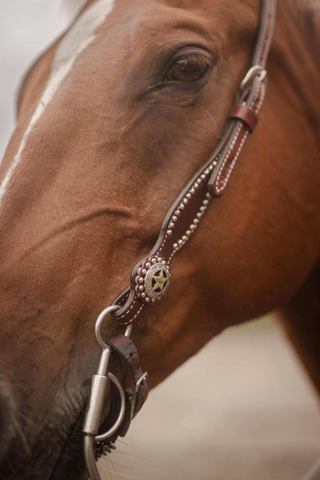 Ulvsby Ranch Western Camp Karlstad Kültér fotó